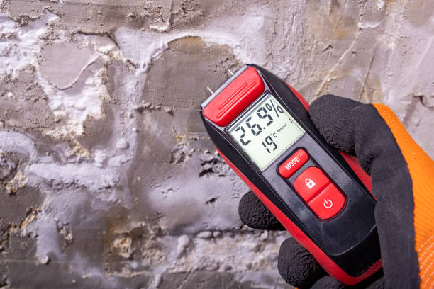 Best Residential Mold Remediation in Leipsic, OH