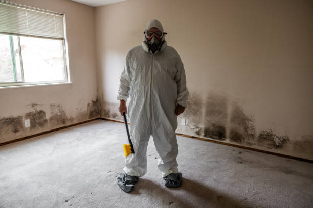 Best Industrial Mold Remediation in Leipsic, OH